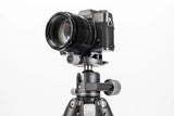 Benro GX30 Lowprofile Ballhead