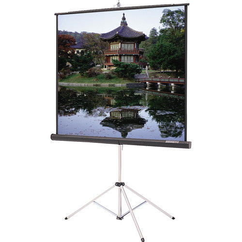 70x70 Screen with Stand Rental Orem