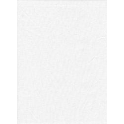 PRO BACKDROP 10x20 - SOLID WHITE (1898)