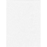 PRO BACKDROP 10x20 - SOLID WHITE (1898)