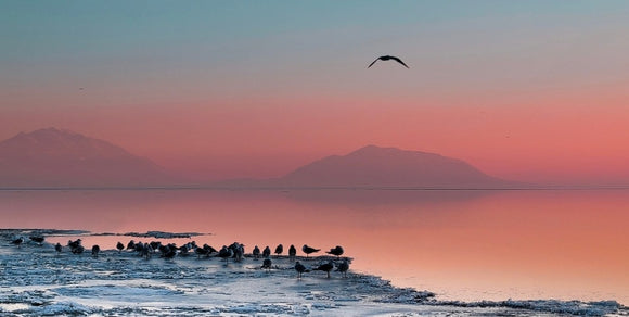 Icy Bird Retreat - Utah Lake