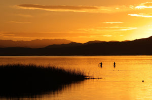 Fishing Gold - Utah Lake